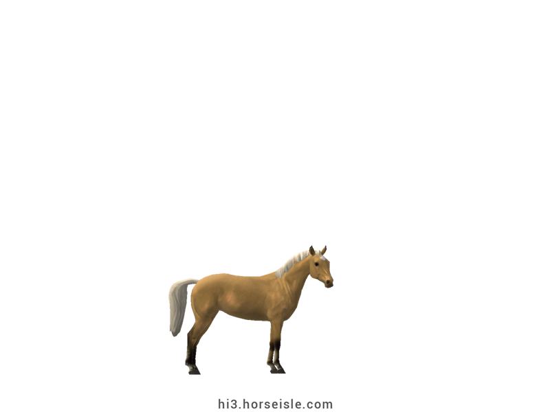 American Miniature Horse Pale Yellow Silver Coat